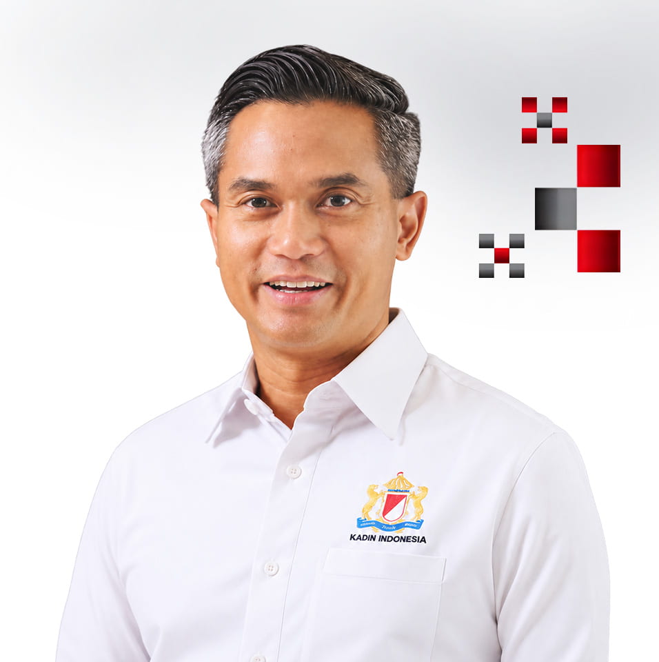Anindya Novyan Bakrie